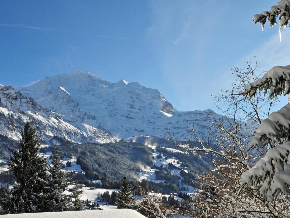 Apartment Plein Soleil By Interhome Wengen Exterior foto
